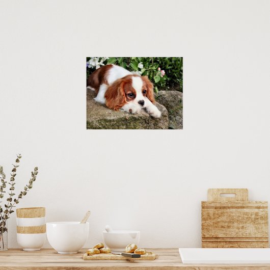 静止 ポスター (キッチン)