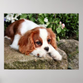 静止 ポスター (正面)