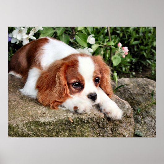 静止 ポスター (正面)