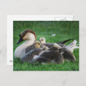 静止 ポストカード (正面/裏面)