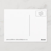 静水リフト橋と芝生 ポストカード (裏面)