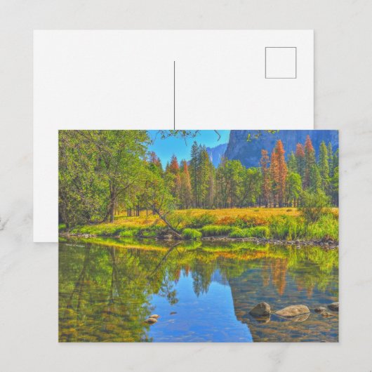 静水 ポストカード (正面/裏面)