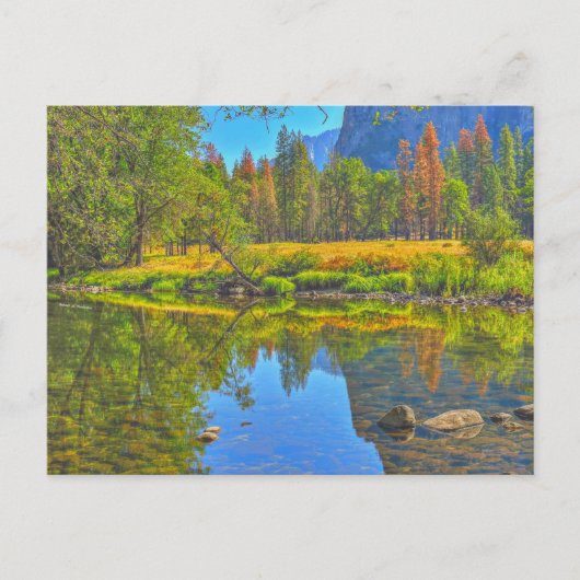 静水 ポストカード (正面)