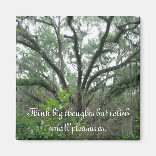 静温木磁石 マグネット (正面)