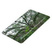 静温木磁石 マグネット (左側)