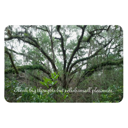 静温木磁石 マグネット (横)