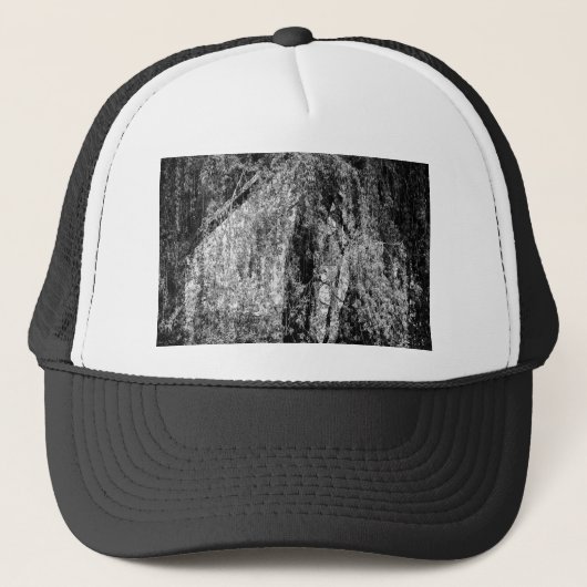 静物家庭 キャップ (正面)