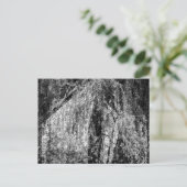 静物家庭 シーズンポストカード (スタンド正面)