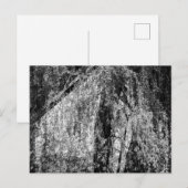 静物家庭 シーズンポストカード (正面/裏面)