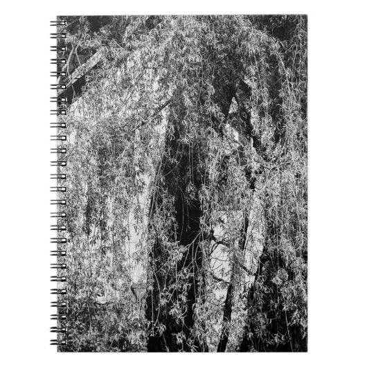 静物家庭 ノートブック (正面)