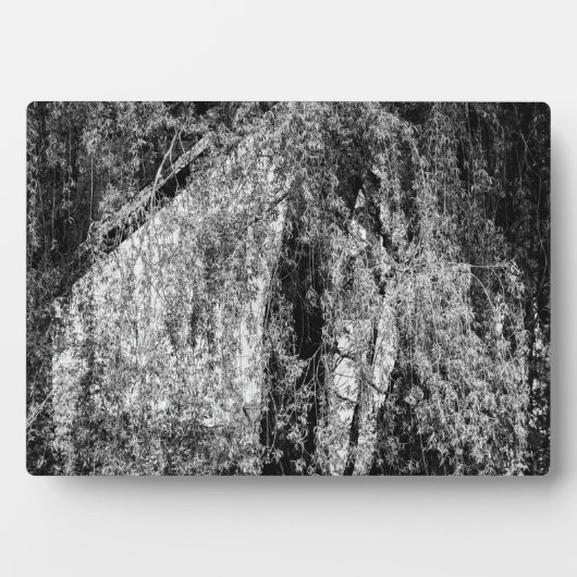 静物家庭 フォトプラーク (正面)