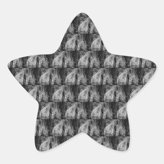 静物家庭 星シール (正面)