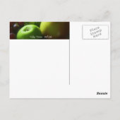 静物生活 ポストカード (裏面)