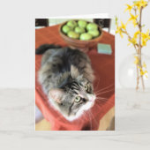 静物画は何ですか。 シベリア猫のメッセージカード カード (黄色い花)