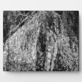 静生活家宅粥腫 フォトプラーク (正面)