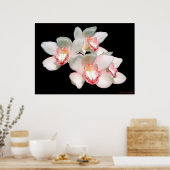 静穏 ポスター (キッチン)