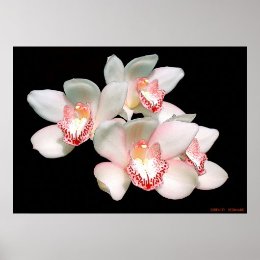 静穏 ポスター (正面)