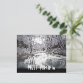 静脈波 ポストカード (スタンド正面)