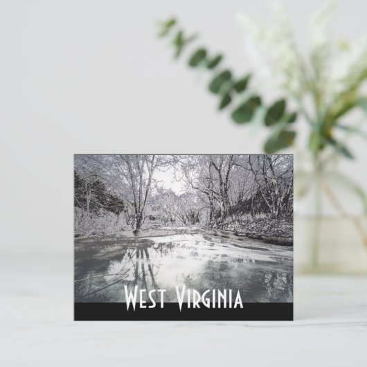 静脈波 ポストカード (スタンド正面)