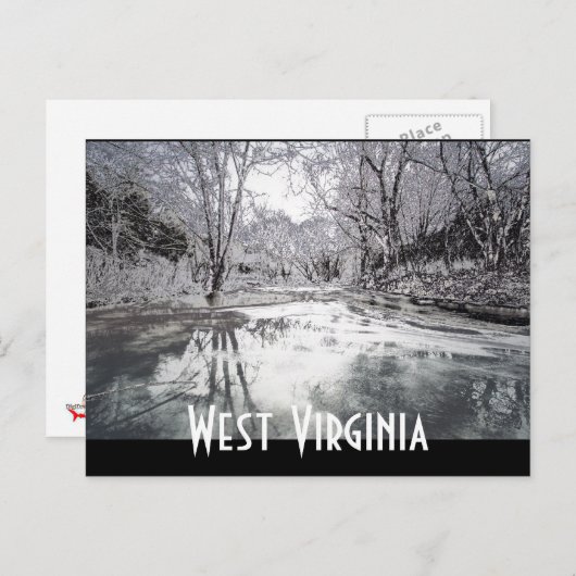 静脈波 ポストカード (正面/裏面)