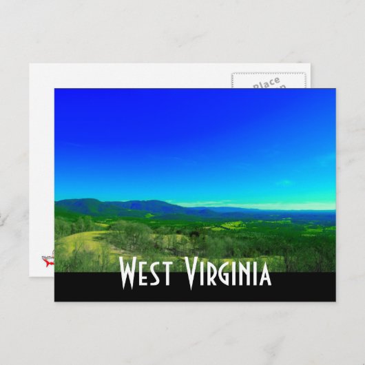 静脈波 ポストカード (正面/裏面)