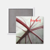 静脈灰色 マグネット (正面/裏面)