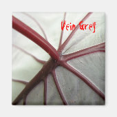 静脈灰色 マグネット (正面)