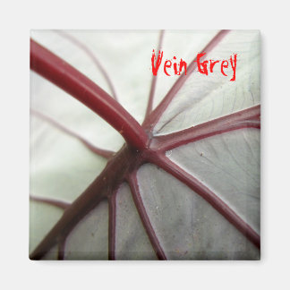 静脈灰色 マグネット