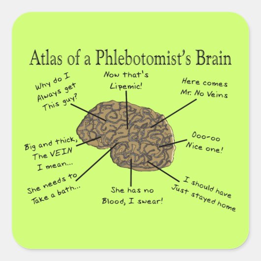 静脈瘤の図 スクエアシール (正面)