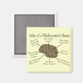 静脈瘤の図 マグネット (正面/裏面)