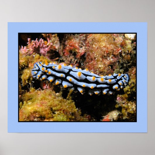 静脈瘤 ポスター (正面)