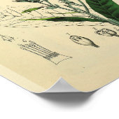 静脈筋肉脚足解剖学アートプリント ポスター (角)