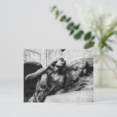 静謐な視線を天に向けた美しい天使 ポストカード (スタンド正面)