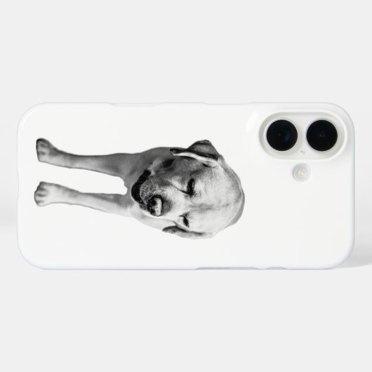 静音強度 Case-Mate iPhoneケース (裏面 (横))