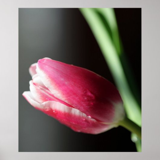 静 ポスター (正面)