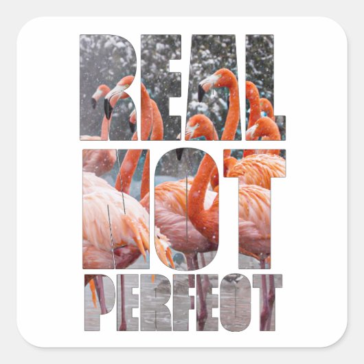 非パーフェッ実在ト引用文フラミンゴ熱帯ステッカー スクエアシール (正面)