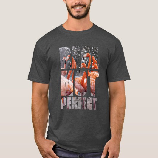 非実在完全引用文フラミンゴ熱帯鳥 Tシャツ (正面)