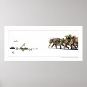 非対称性 ポスター (正面)