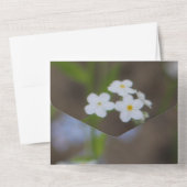 非常かわいらし退職パーティー紙 オールインワン招待状 (裏面)