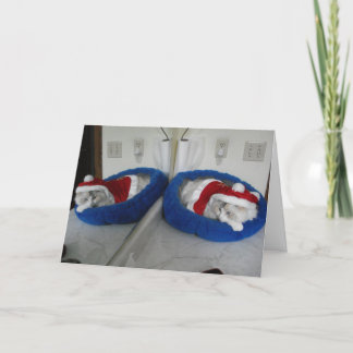 非常におしゃれなクリスマス シーズンカード