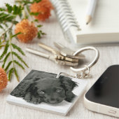 非常にかわいいスパニエル犬Keychain キーホルダー (正面右)