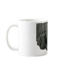 非常にかわいい子犬