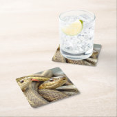 非常にクールヘビのコースターセット スクエアペーパーコースター (インサイチュ)