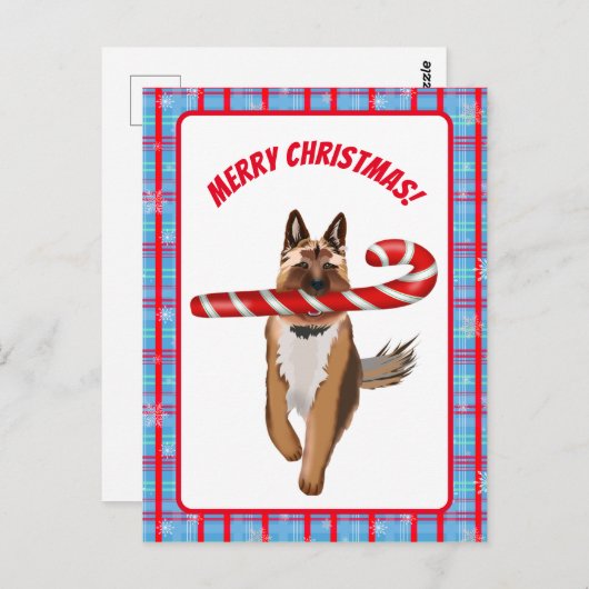 非常にドイツの羊飼いのキャンディーケーンクリスマス ポストカード (正面/裏面)