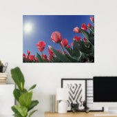 非常に低い角度から赤いチューリップ、シンシナティ ポスター (ホームオフィス)