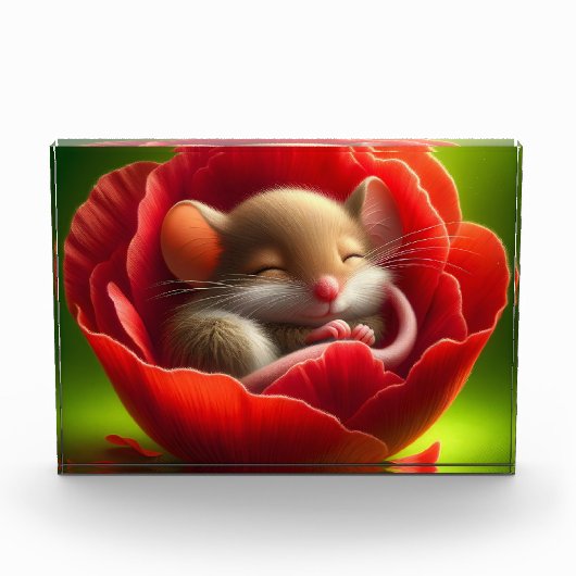 非常に可愛いベビーマウス眠る フォトブロック (正面)