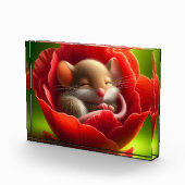 非常に可愛いベビーマウス眠る フォトブロック (右)