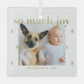 非常に喜びカスタムの写真クリスマスオーナメント ガラスオーナメント (正面)