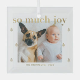 非常に喜びカスタムの写真クリスマスオーナメント ガラスオーナメント