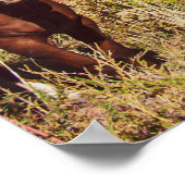 非常に多くの馬// 3錆びた車 ポスター (角)